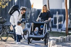 Thule Courier 2-sitziger Kinderanhänger -Fahrrad Serie Laden 1161492