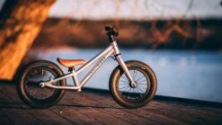 Early Rider, Charger 12, Kinderrad 2023 -Fahrrad Serie Laden 20200122 155242000 ios