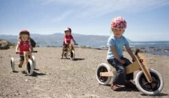 Wishbone Pre-Bike 3-in-1 Laufrad -Fahrrad Serie Laden 3 in 1 alle drei varianten