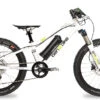Ben-e-bike, TWENTY E-Power PRO, 20" Kinder E-Bike 2020 2 Ben-e-bike, TWENTY E-Power PRO, 20" Kinder E-Bike 2020 -Fahrrad Serie Laden ben e bike twenty pro kinde