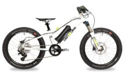 Ben-e-bike, TWENTY E-Power PRO, 20" Kinder E-Bike 2020