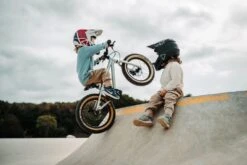 Early Rider, Hellion 16, MTB/Downhill Kinderrad 2023 -Fahrrad Serie Laden hellion16 gallery desktop4