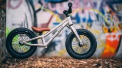 Early Rider, Charger 12, Kinderrad 2023 -Fahrrad Serie Laden photo 2020 02 07 18 53 07