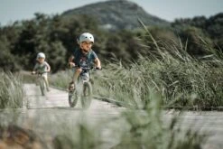 Early Rider, Seeker 14, Trail-Kinderrad 2023 17 Early Rider, Seeker 14, Trail-Kinderrad 2023 -Fahrrad Serie Laden seeker14 gallery desktop4